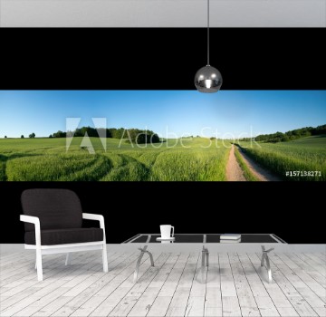 Image de Panorama summer green field landscape with dirt road